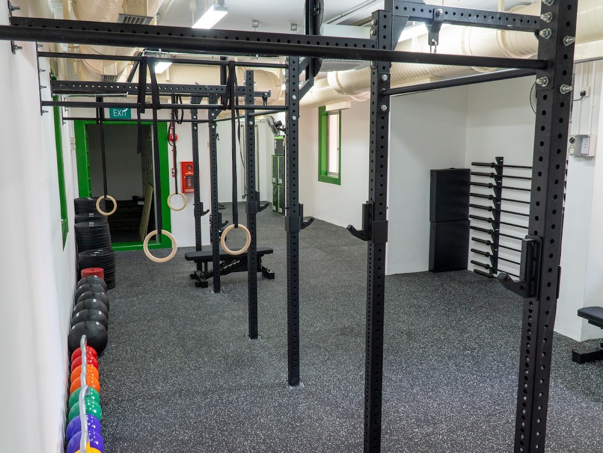 Apex Fitness