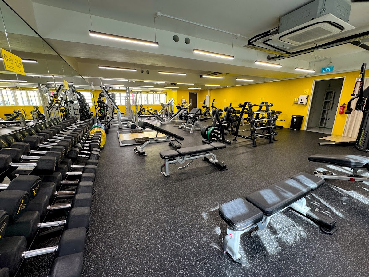 GoFit X Gym Geylang