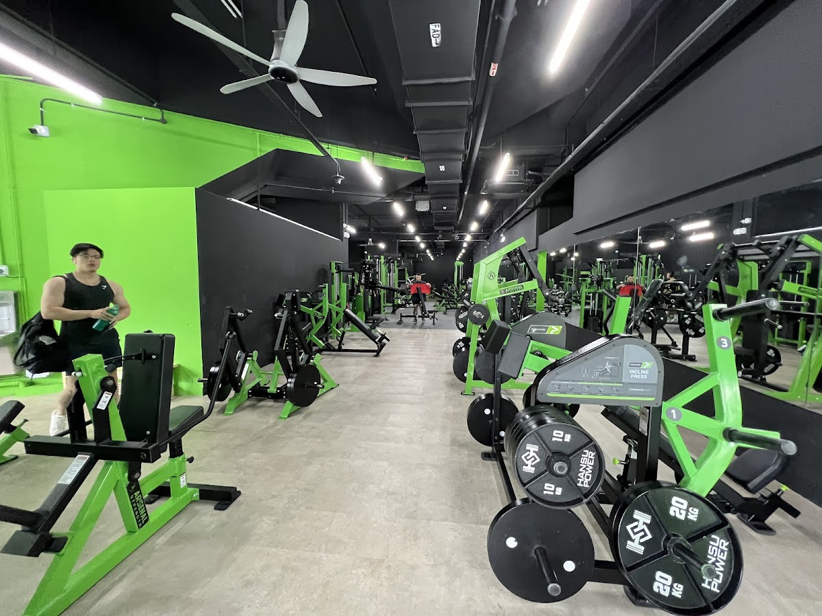 Strength Masters Gym Bras Basah