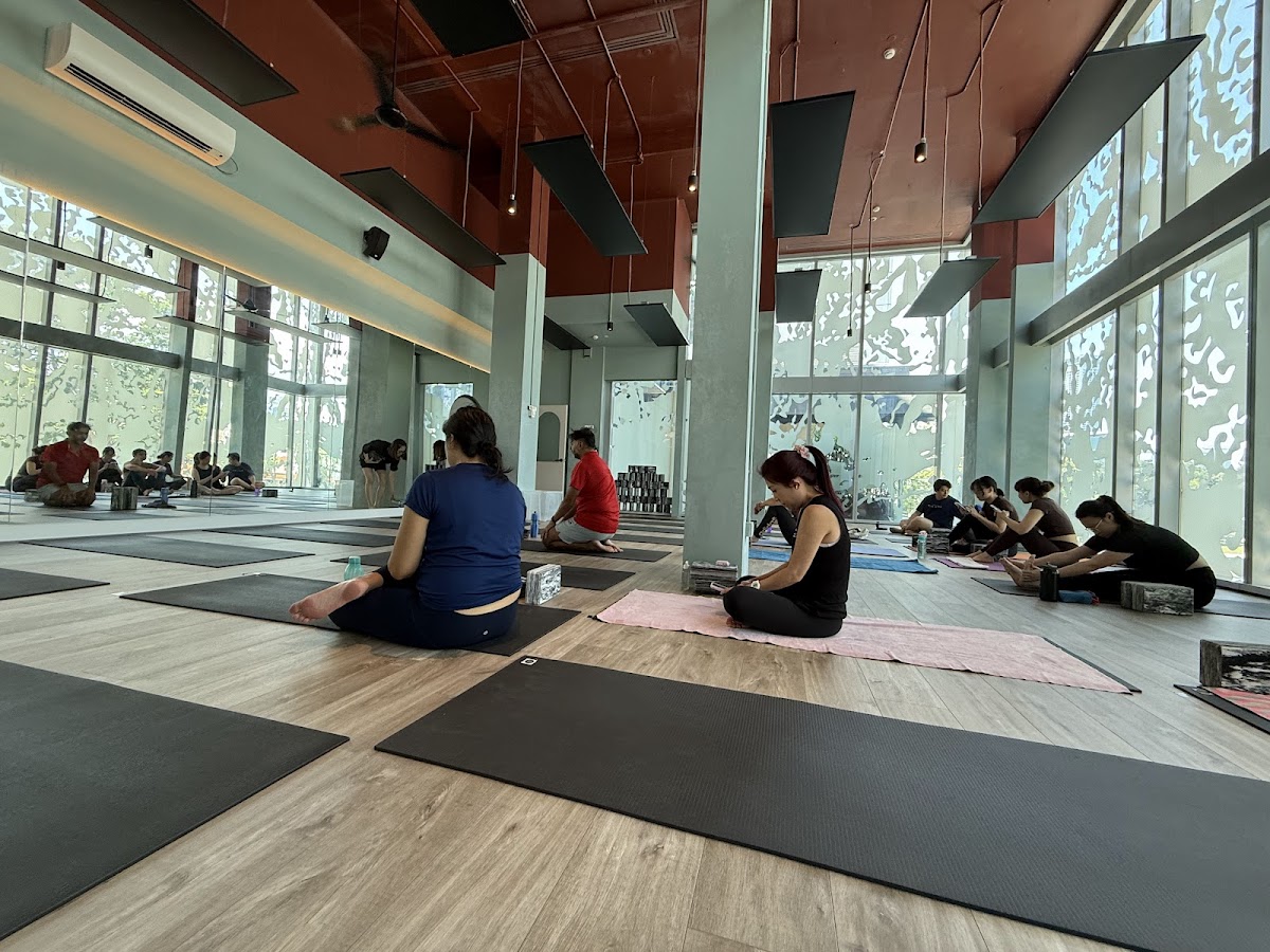 Yoga Movement Orchard studio